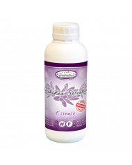 Essência Orchidea Selvatica (1Lt)