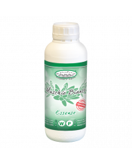 Essência Muschio Bianco (1Lt)